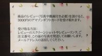 アマゾンで注文していると、ポイントがつきます。 まとめて注文した段ボール箱大きいのの中に忍びこませていました。 以前感想 […]